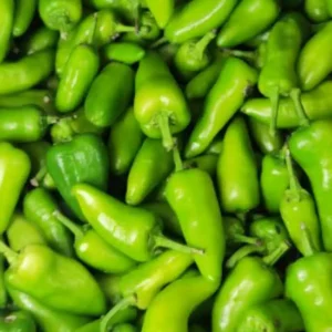 green Bullet Chilli