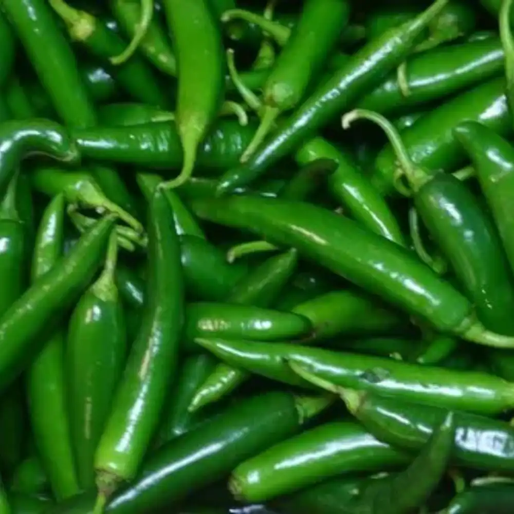 green chilli