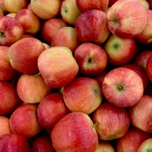 Buy Apple Fruit bulk