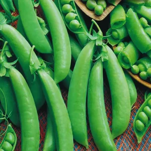 Buy Sugar Snaps Online