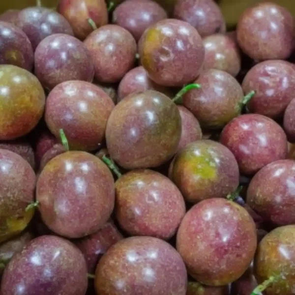 buy passion fruit