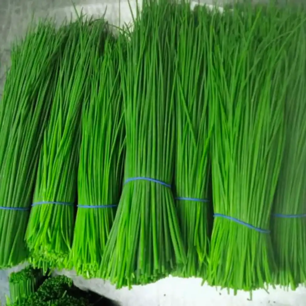 Buy chives online