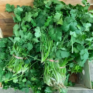 Buy Coriander Online