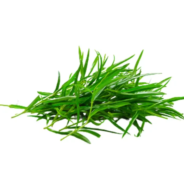 Buy Fresh Tarragon Online