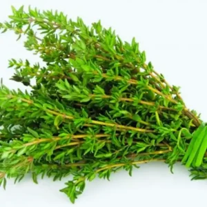 Buy Thyme Online